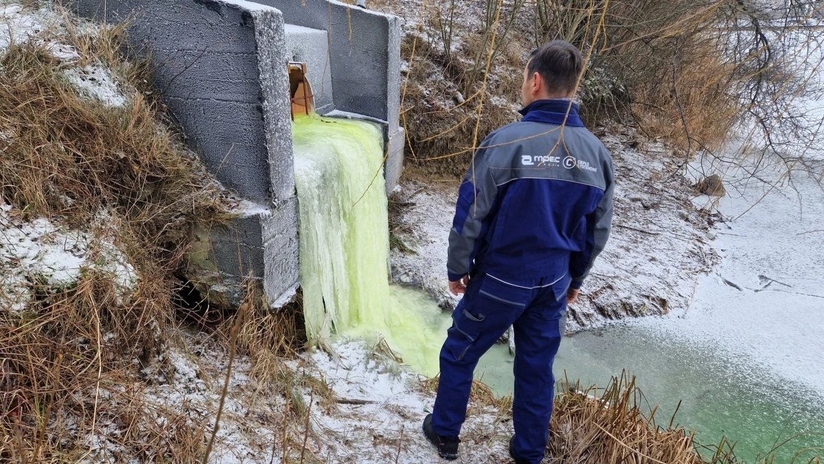 Zielona Woda Na Zatorzu To Efekt Akcji Sprzed Niemal Roku