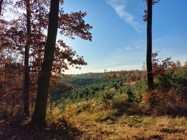 Dzika natura w pobliżu Konina? Sprawdź, gdzie jej szukać