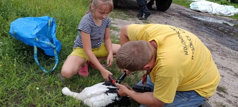 Zaobrączkowali ponad 200 młodych bocianów. „To dobry rok”