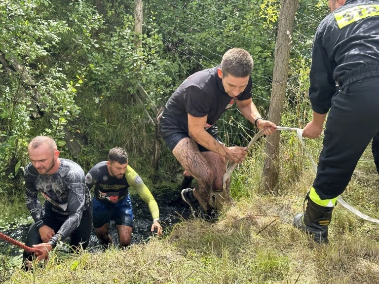 „Diabelnie boscy” kibicowali uczestnikom „Husar Race”