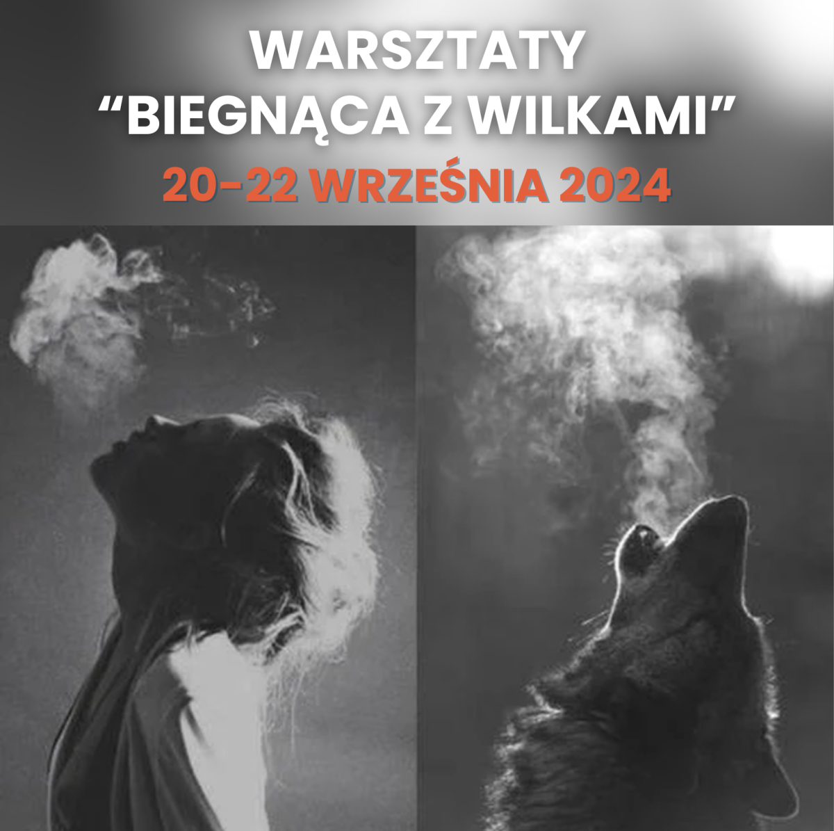 Warsztaty 