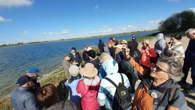 40 OdSłoń Gosława. Turyści wędrowali śladami słonia leśnego