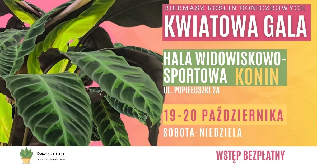 Kwiatowa Gala w Koninie