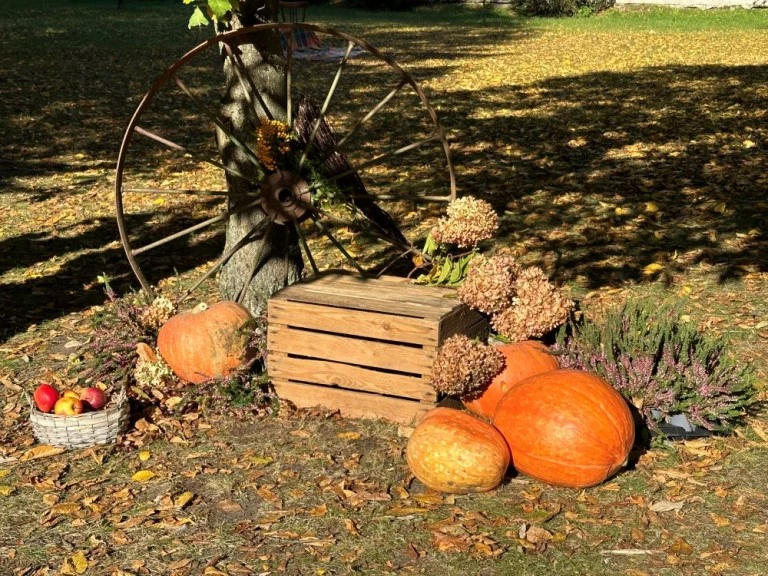 Klimatyczny przystanek dyniowy w Żychlinie. Malownicza jesień w parku