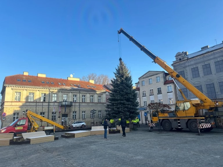 Świątecznie w sercu Konina. Choinka na pl. Wolności już cieszy oczy