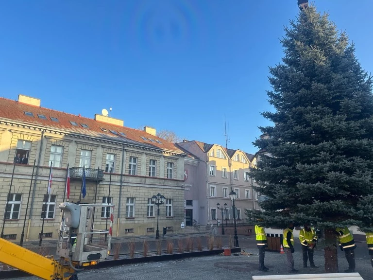 Świątecznie w sercu Konina. Choinka na pl. Wolności już cieszy oczy