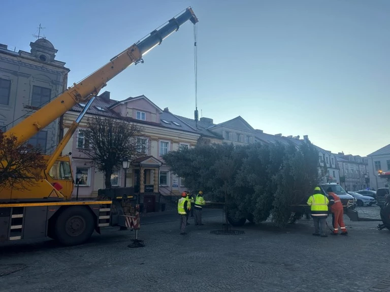 Świątecznie w sercu Konina. Choinka na pl. Wolności już cieszy oczy