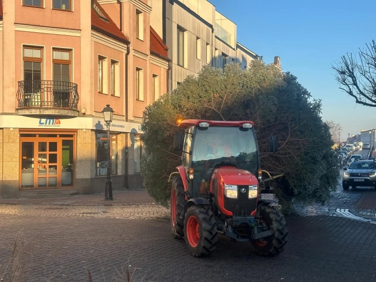 Świątecznie w sercu Konina. Choinka na pl. Wolności już cieszy oczy