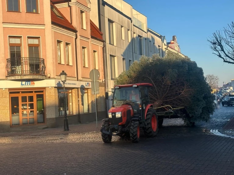 Świątecznie w sercu Konina. Choinka na pl. Wolności już cieszy oczy