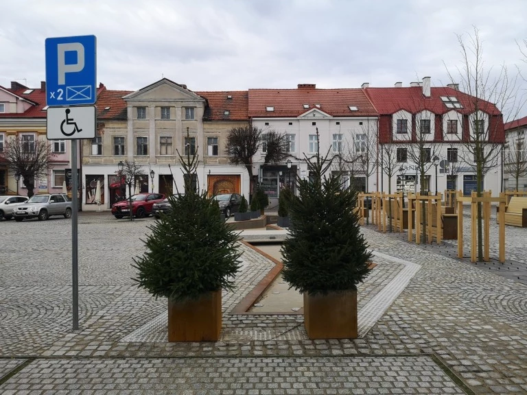 Konin. Tuje mają poprawić bezpieczeństwo wokół elementu wodnego