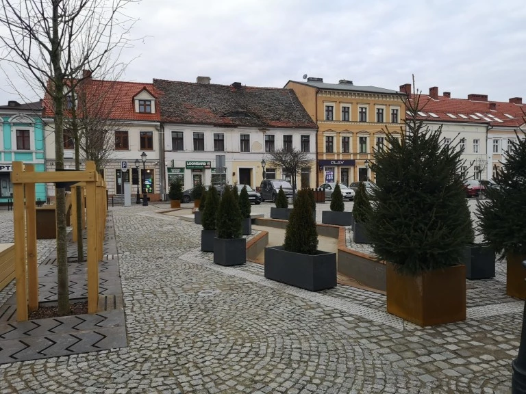 Konin. Tuje mają poprawić bezpieczeństwo wokół elementu wodnego