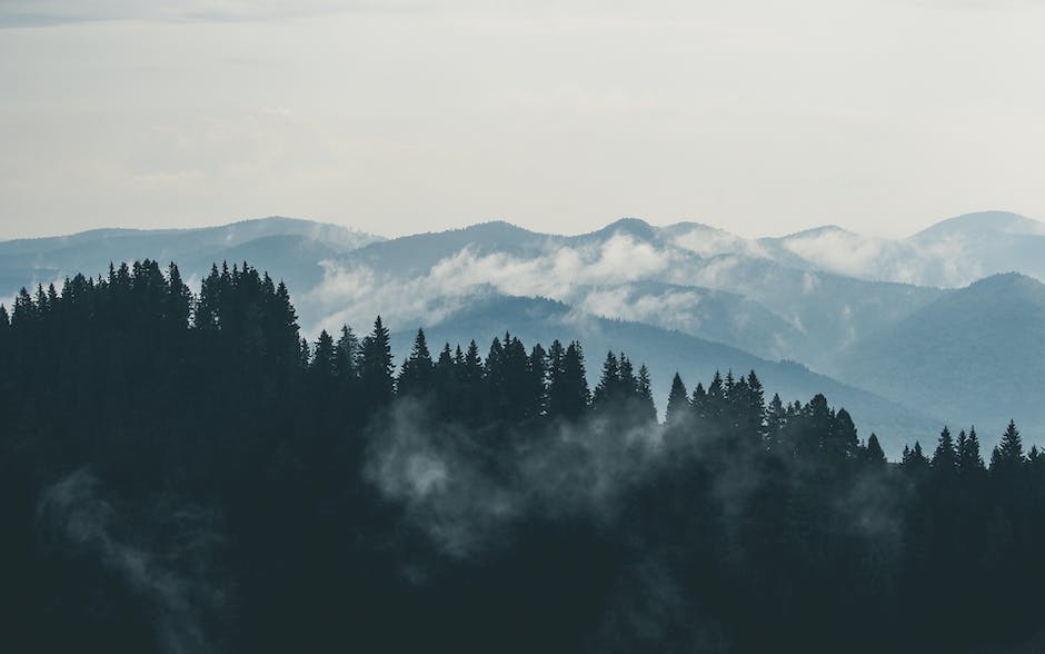 Góry Świętokrzyskie – raj dla miłośników trekkingu