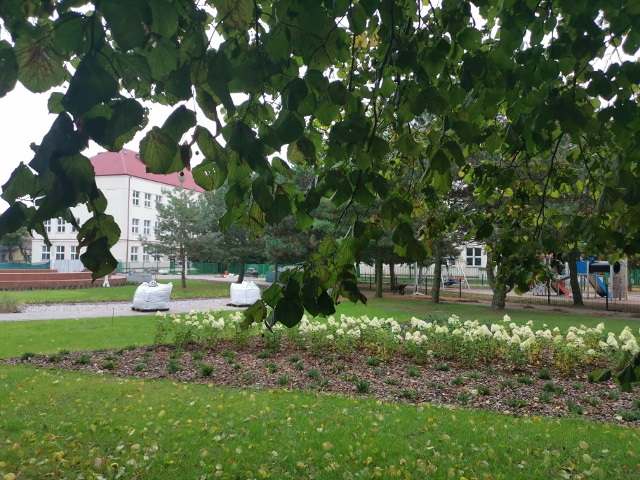 Zagrożenia usunięte. Park im. S. Moniuszki w Kole znowu zaprasza