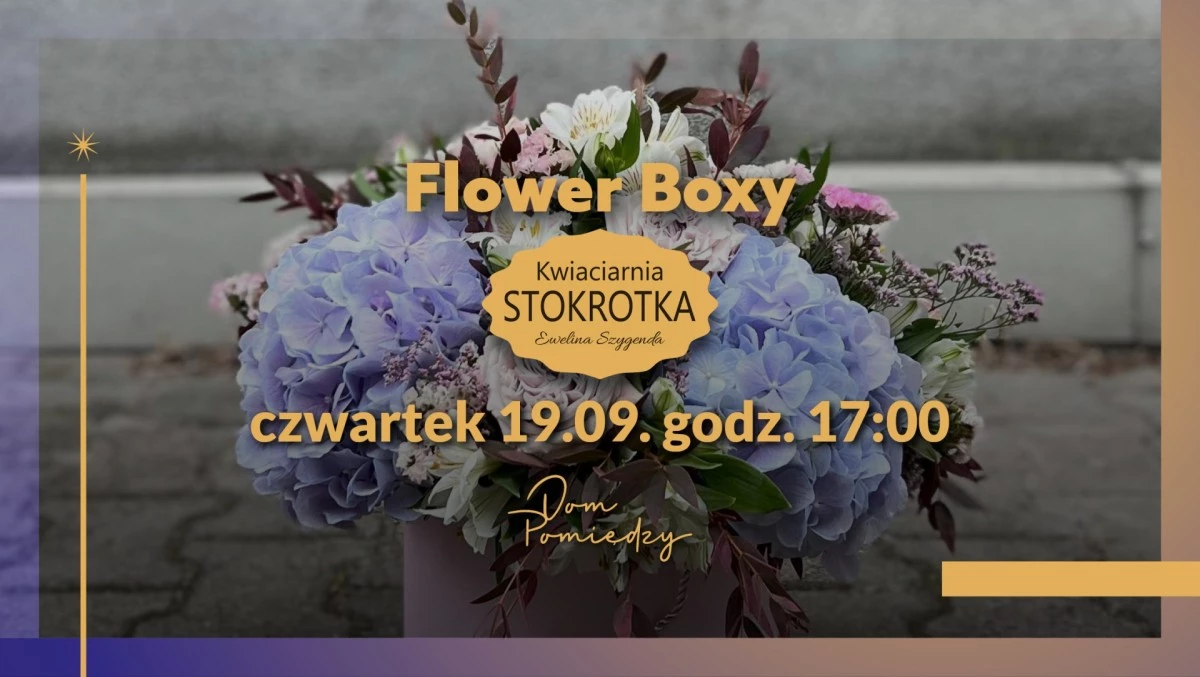 Flower Boxy ze Stokrotką