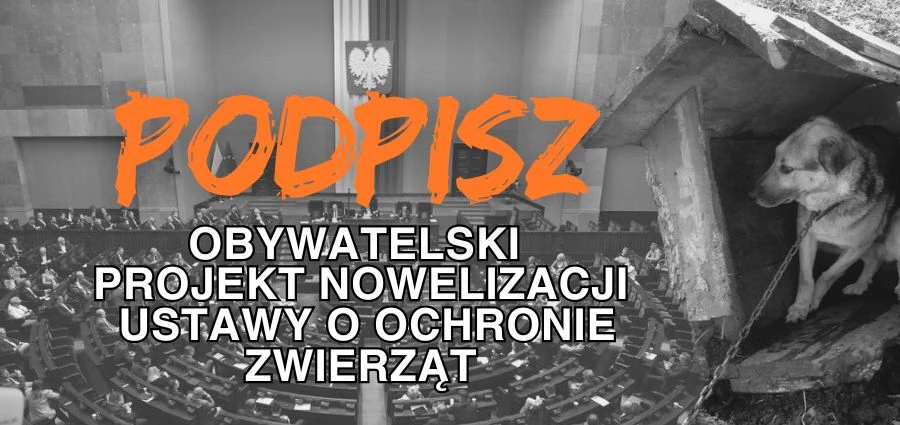 100 tysięcy podpisów do 24 września. Pomóż ograniczyć cierpienie zwierząt