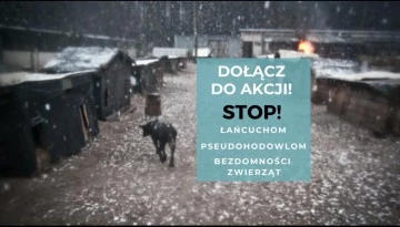 Walczymy o prawa zwierząt. Przyjdź do LM.pl i podpisz petycję