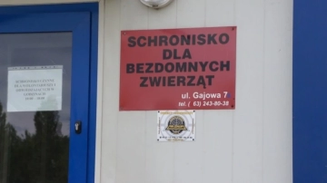 Ogromne wsparcie od zwierzolubów. Konińskie schronisko wygrało!