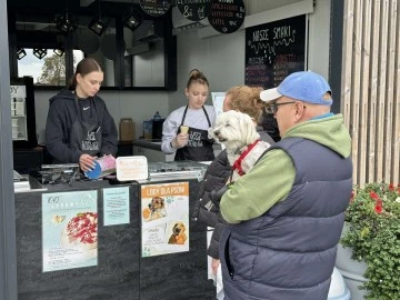 Jemy lody dla schroniska. Rekordowa zbiórka na rzecz bezdomniaków