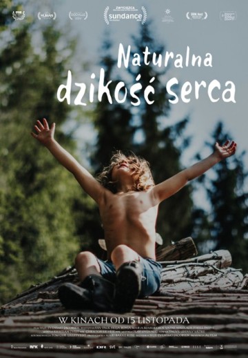 Naturalna dzikość serca  / Kino przy Okólnej