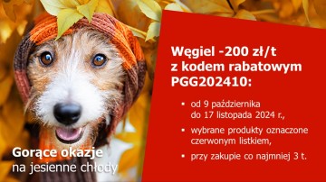 Węgiel z Polskiej Grupy Górniczej